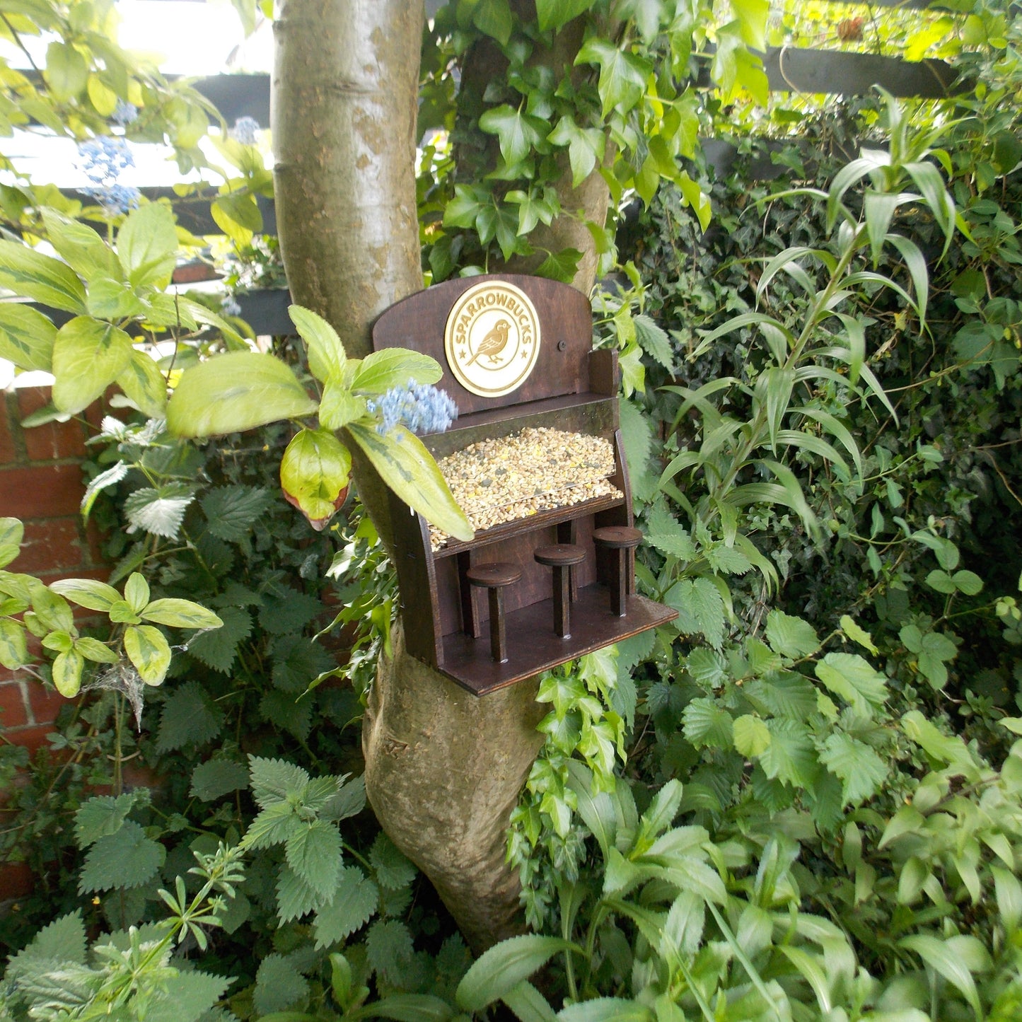 Sparrowbucks Café Bird Feeder – Quirky Coffee Lover & Bird Watcher Gift for the Garden