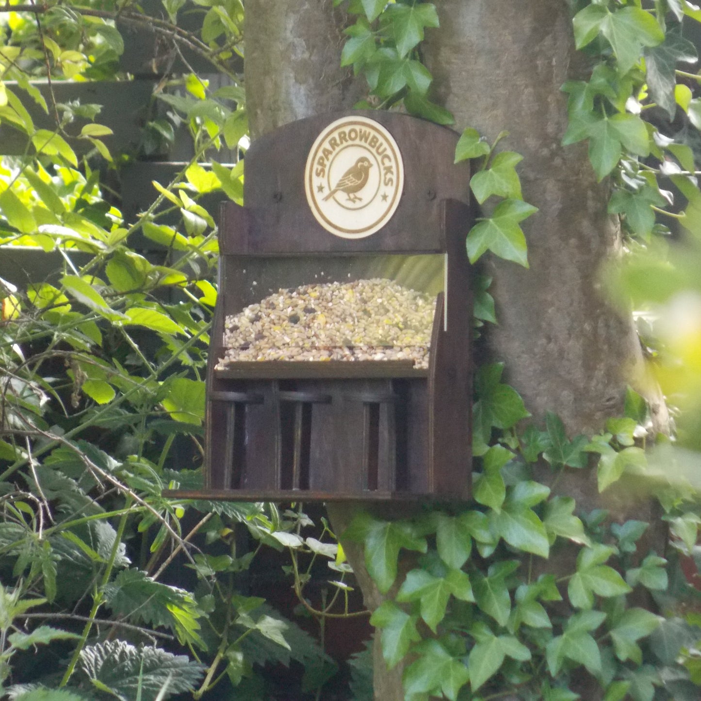 Sparrowbucks Café Bird Feeder – Quirky Coffee Lover & Bird Watcher Gift for the Garden